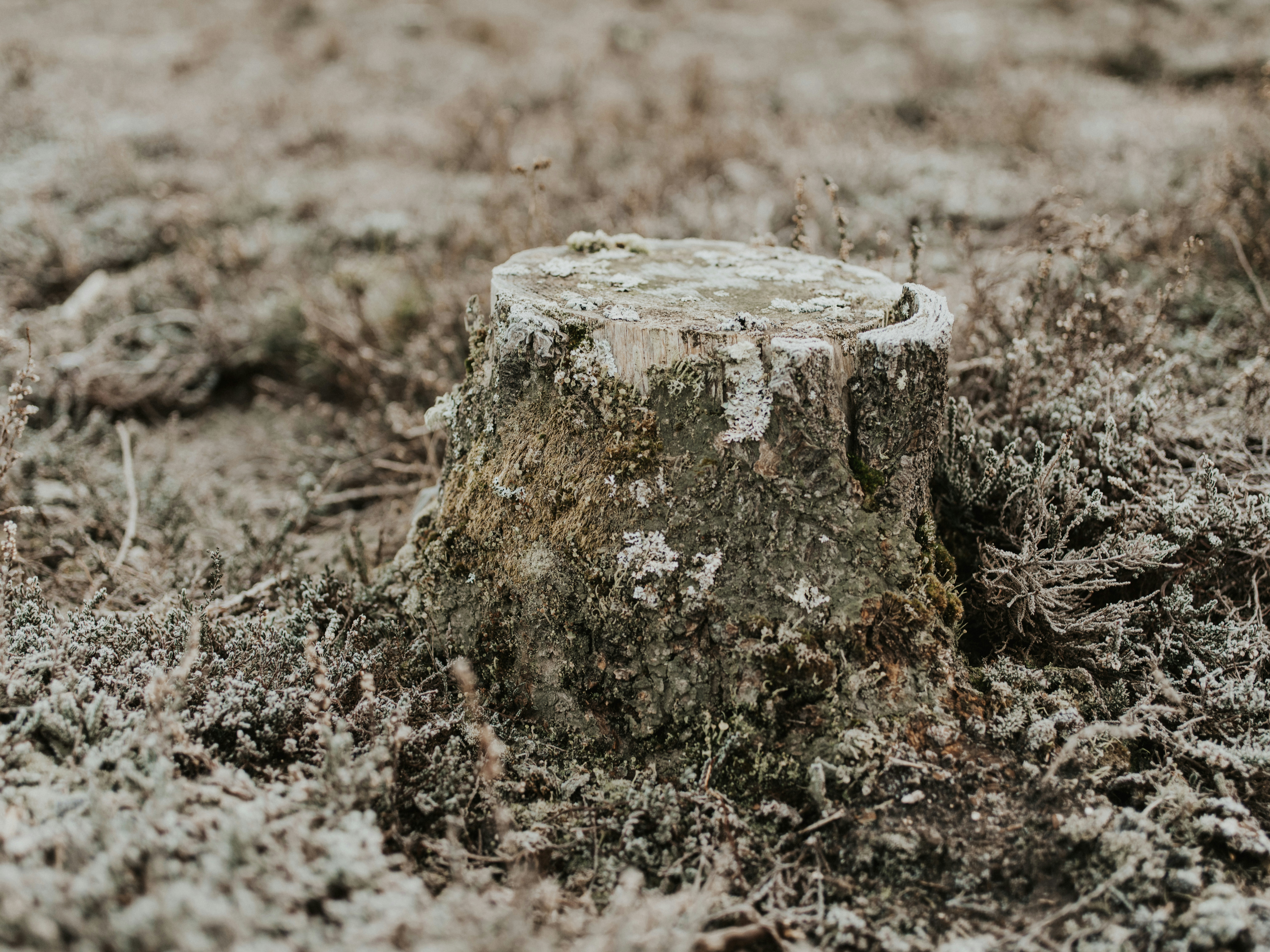 Photo by anniespratt