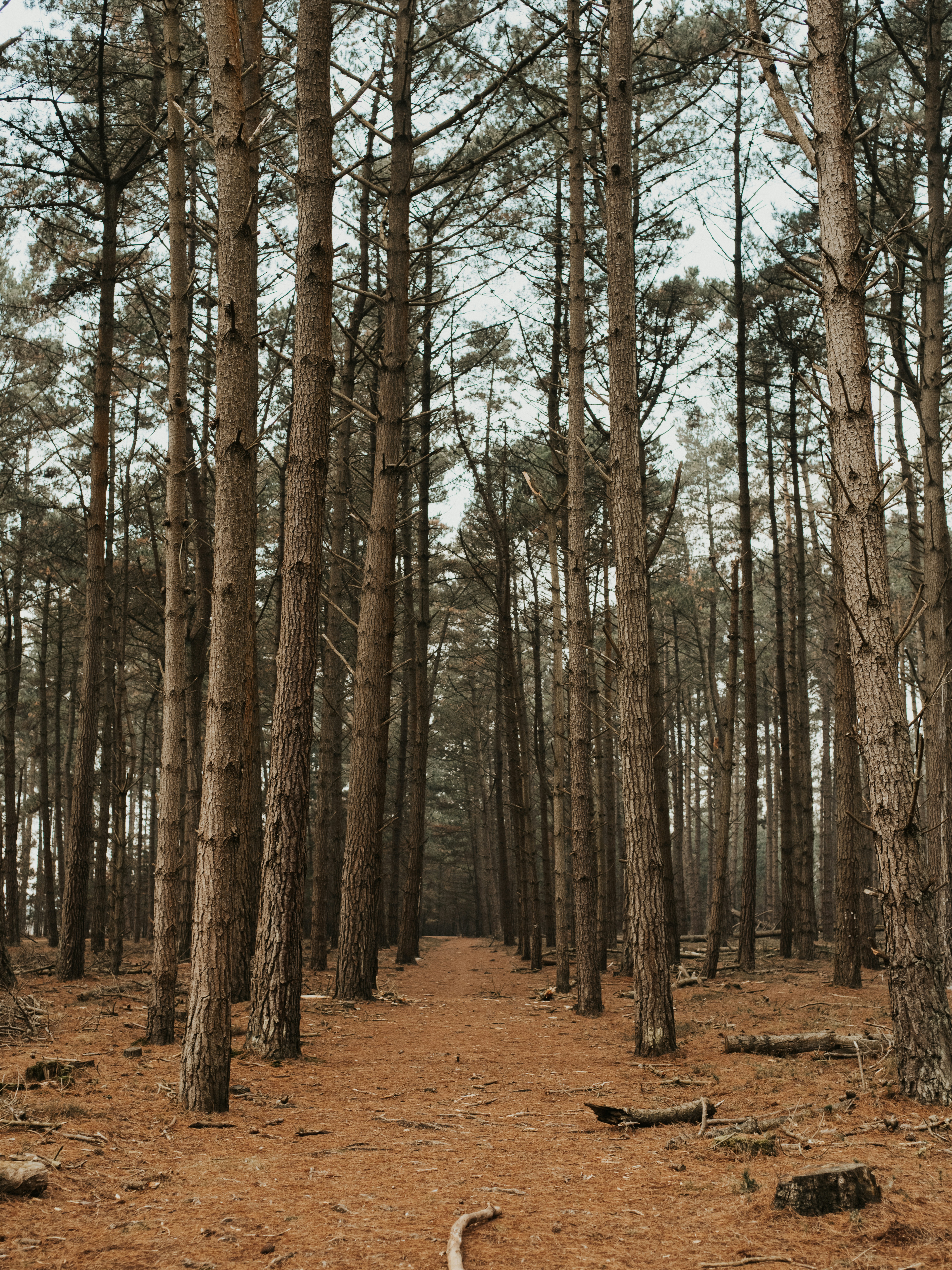 Photo by anniespratt