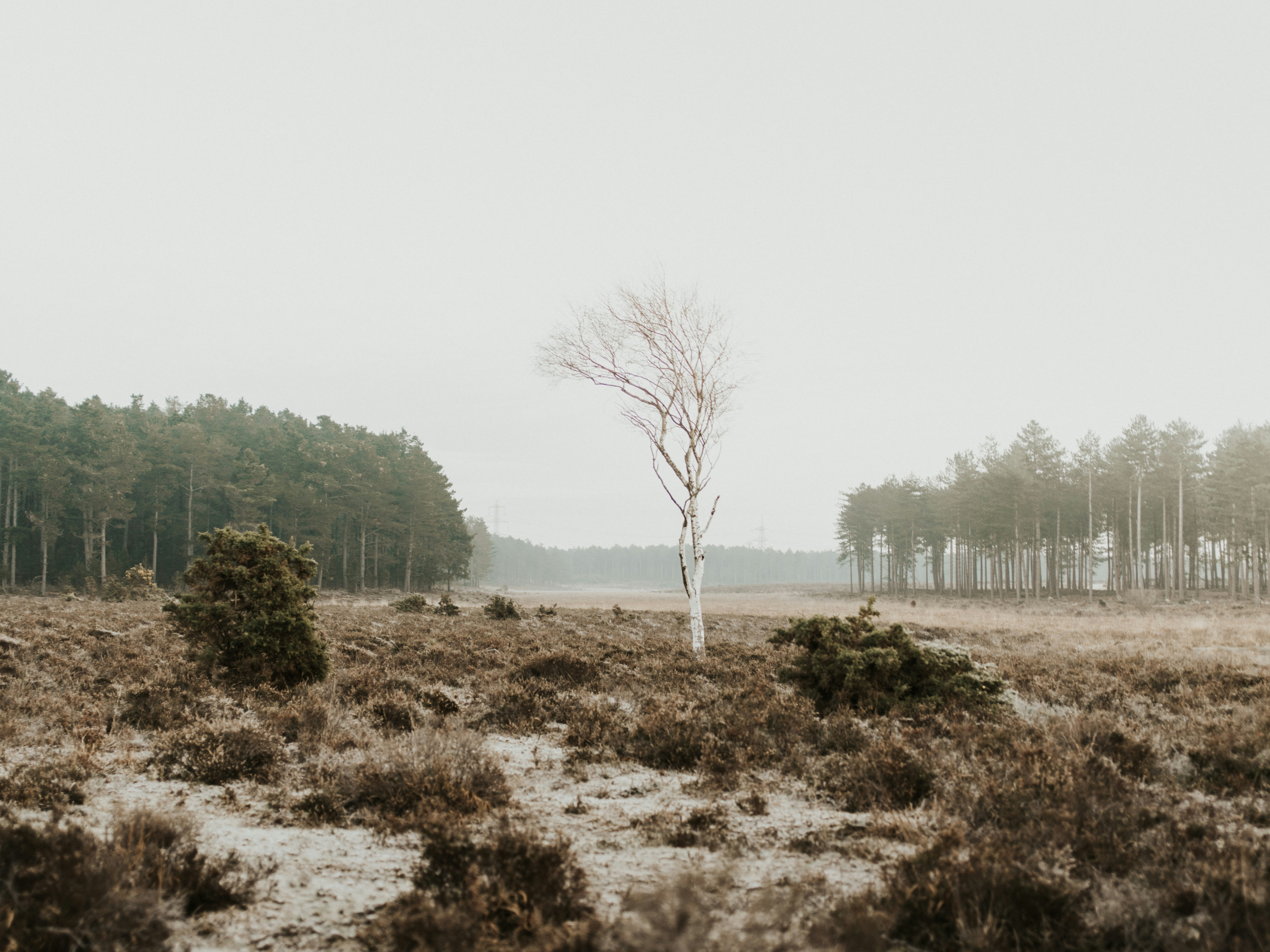 Photo by anniespratt