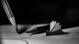 Close-up of various sketching pencils and charcoal sticks on textured paper.