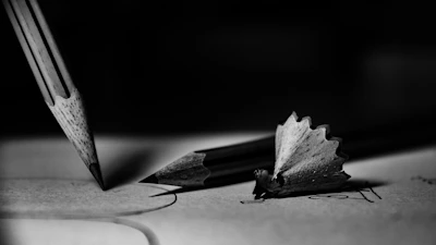 Close-up of various sketching pencils and charcoal sticks on textured paper.