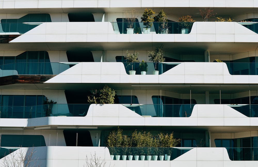 White and blue-colored four stories building