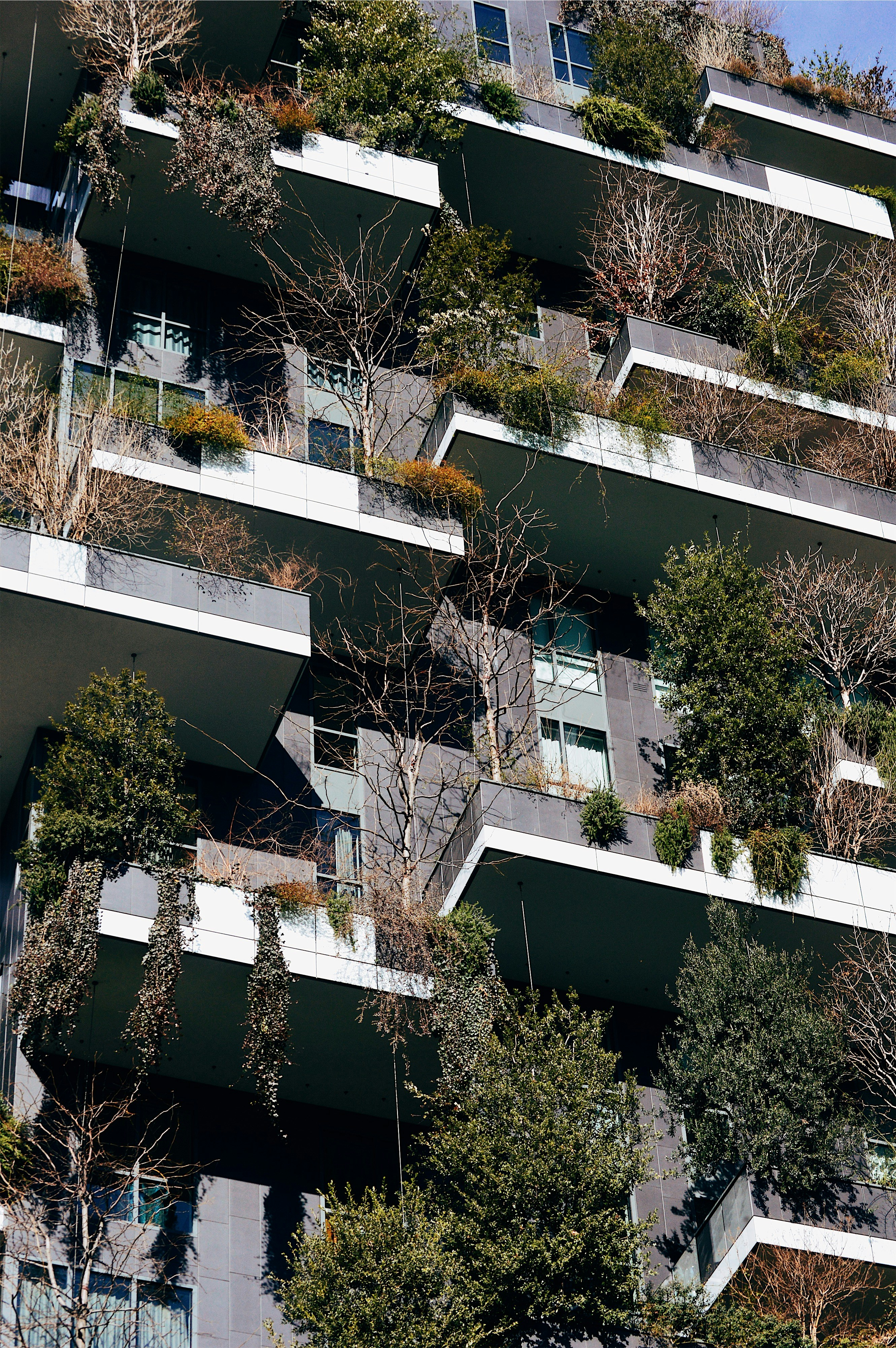 gray concrete building with plants during daytime