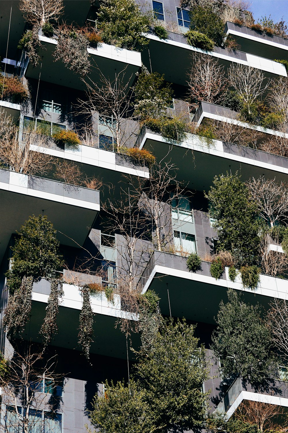 gray concrete building with plants during daytime