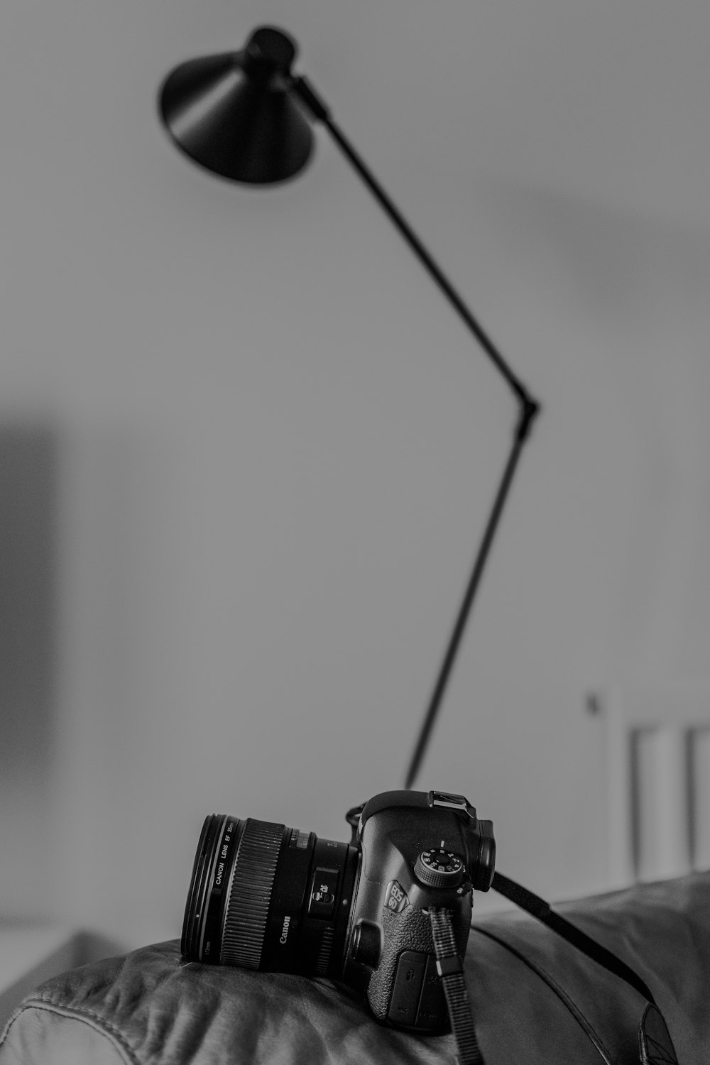 DSLR camera and floor lamp