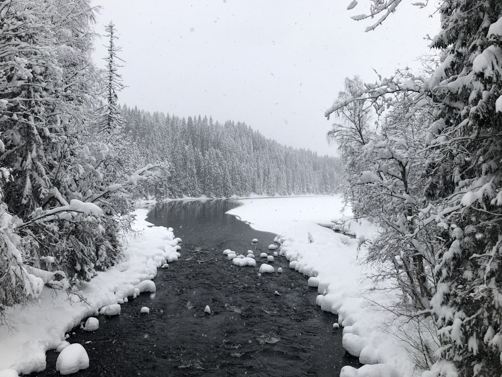 unfrozen stream in between snow covered ridge and trees