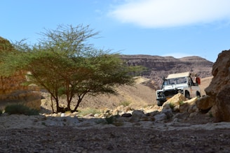 A rugged off-road vehicle is parked on rocky terrain in a desert landscape. A large tree provides shade alongside a dirt path, with rocky hills rising in the background under a partly cloudy sky.