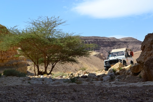 A rugged off-road vehicle is parked on rocky terrain in a desert landscape. A large tree provides shade alongside a dirt path, with rocky hills rising in the background under a partly cloudy sky.