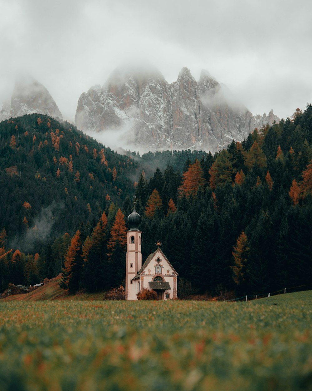 Chiesa bianca e grigia circondata da alberi ad alto fusto