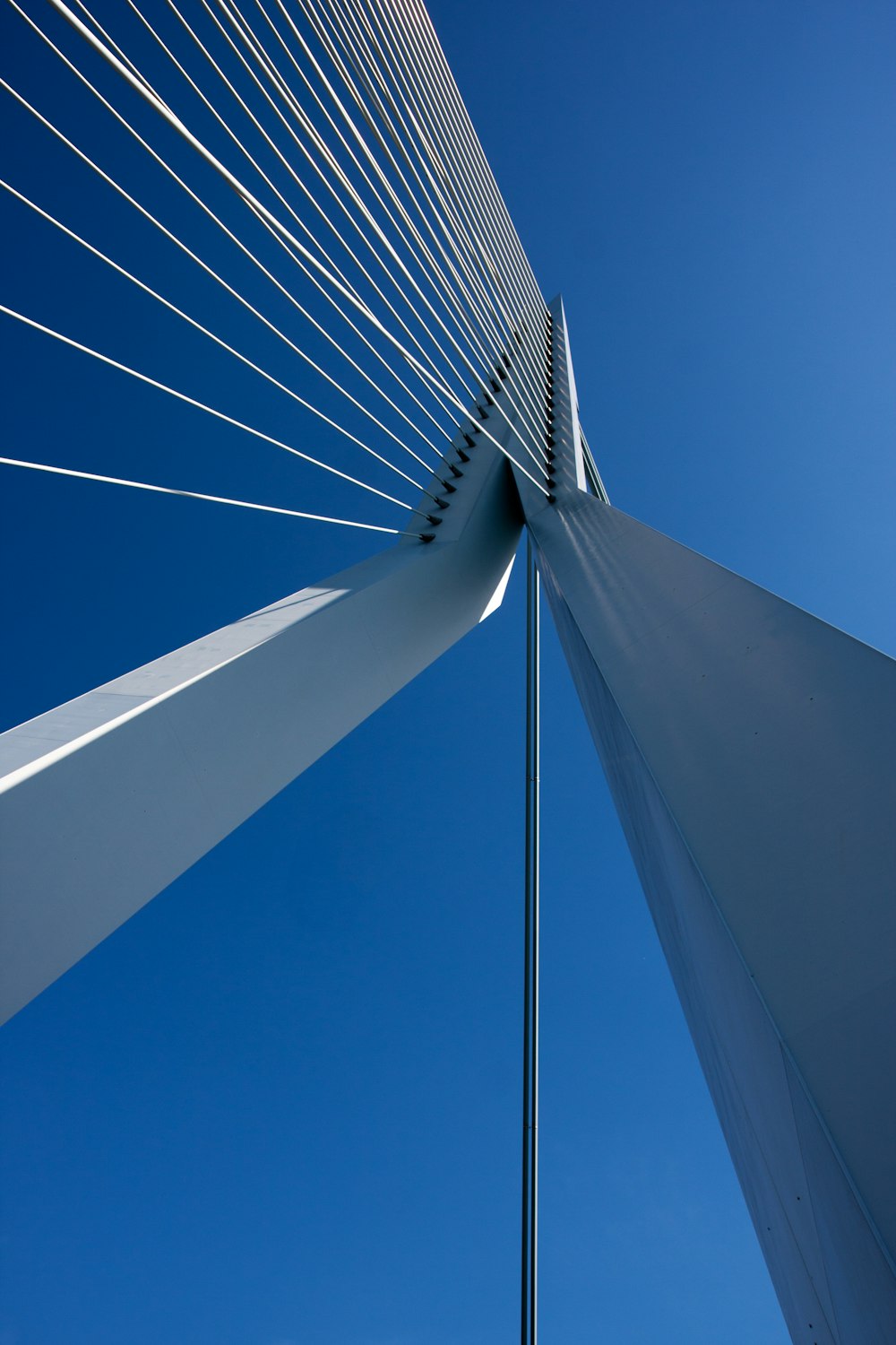 Fotografia dal basso del palo del ponte