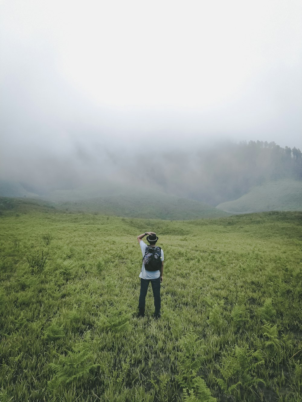 person standing on green grass while looking into the fog