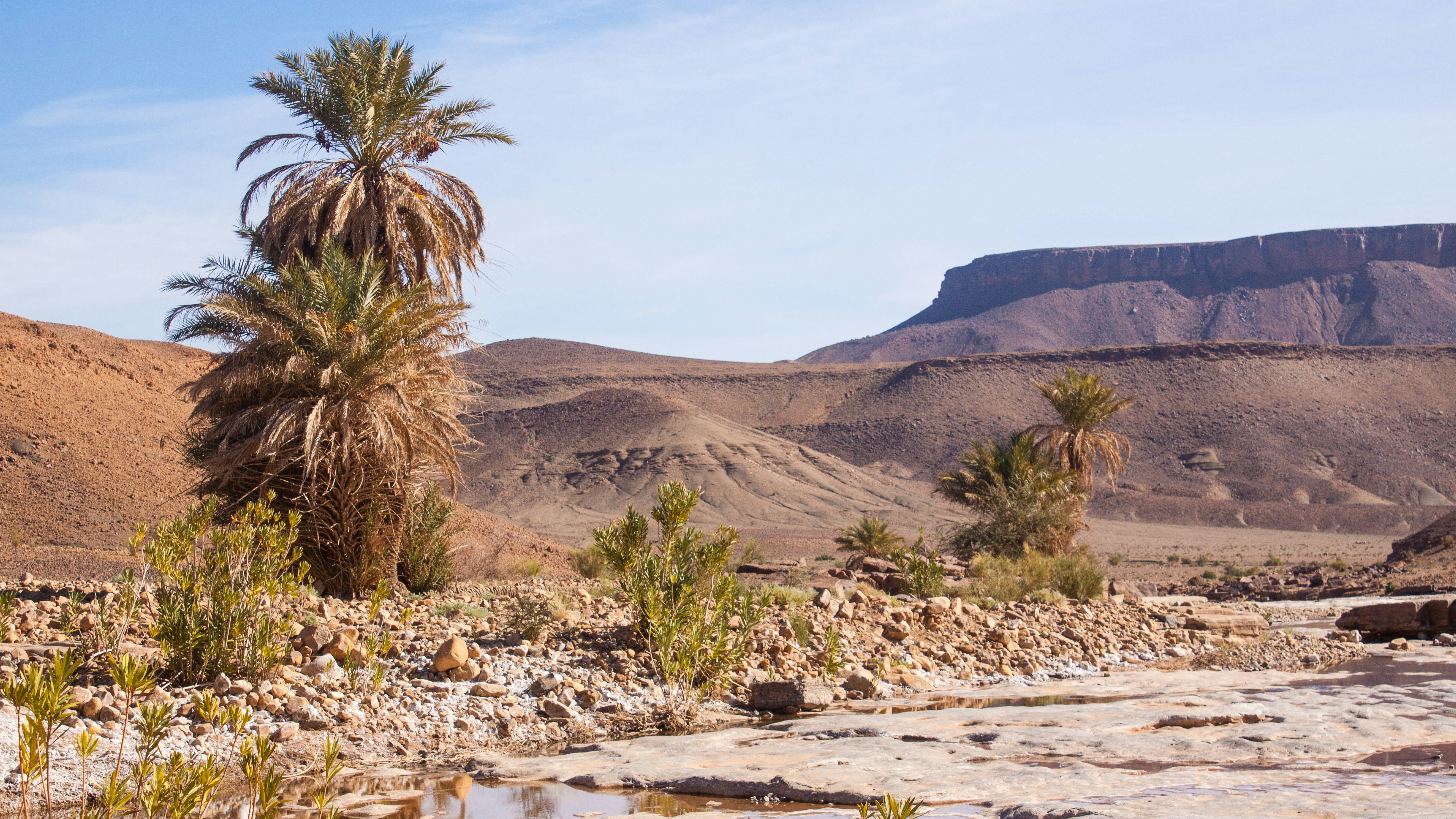 Photo by ismail_el_youssefi