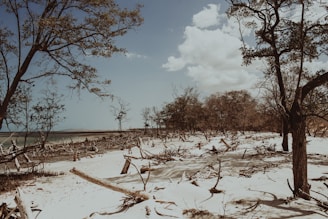 view of white sand beach
