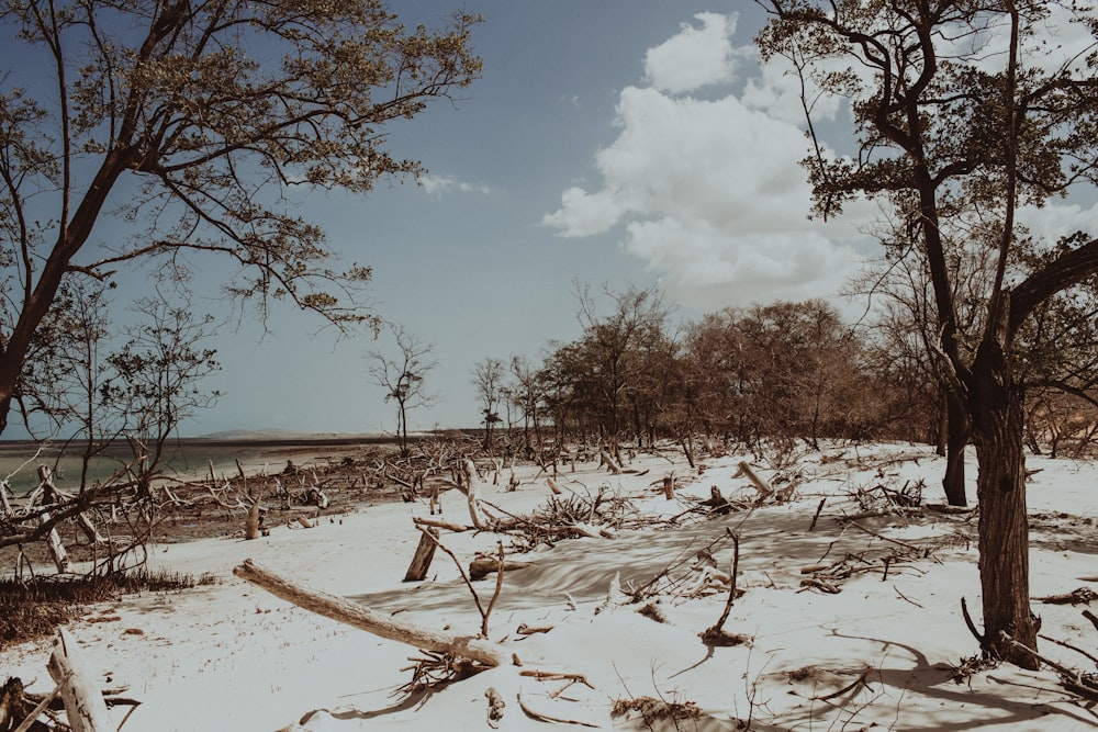 view of white sand beach