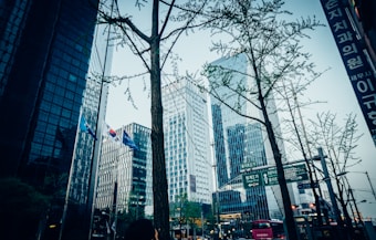 Tall modern skyscrapers with glass facades dominate the scene, framed by sparse trees in an urban setting. South Korean flags can be seen, adding a sense of nationality to the urban landscape. Traffic signs and a bus are present in the busy street below, indicating a lively metropolitan area.
