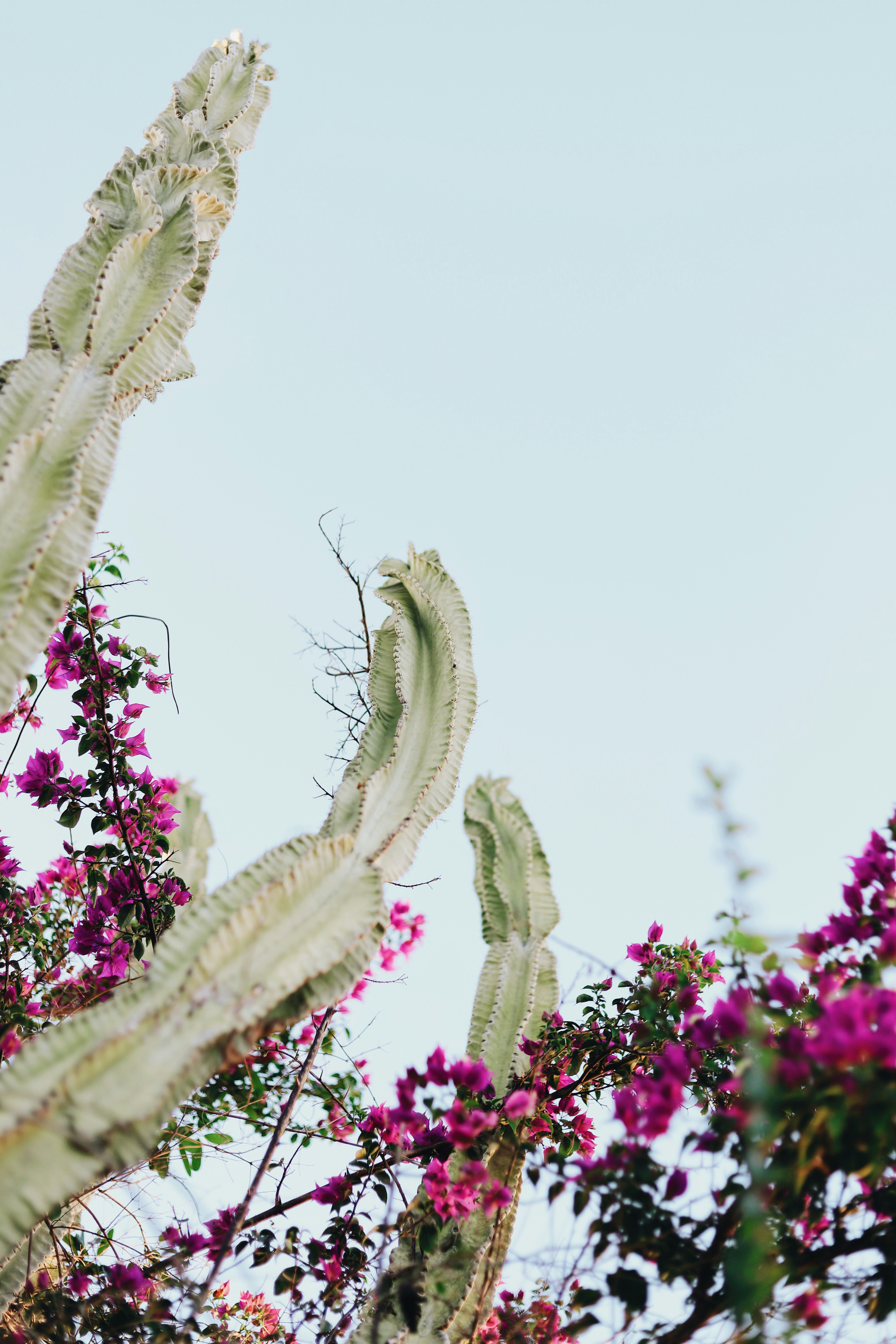 Photo by amyjoyhumphries