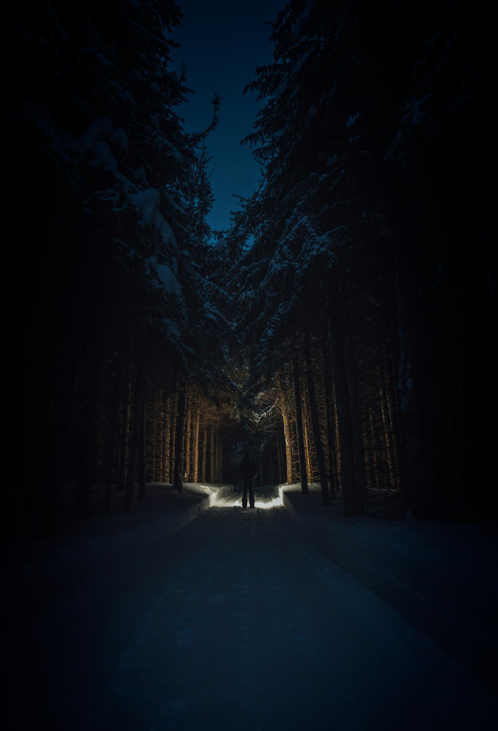 silhouette of man standing in the middle of the road