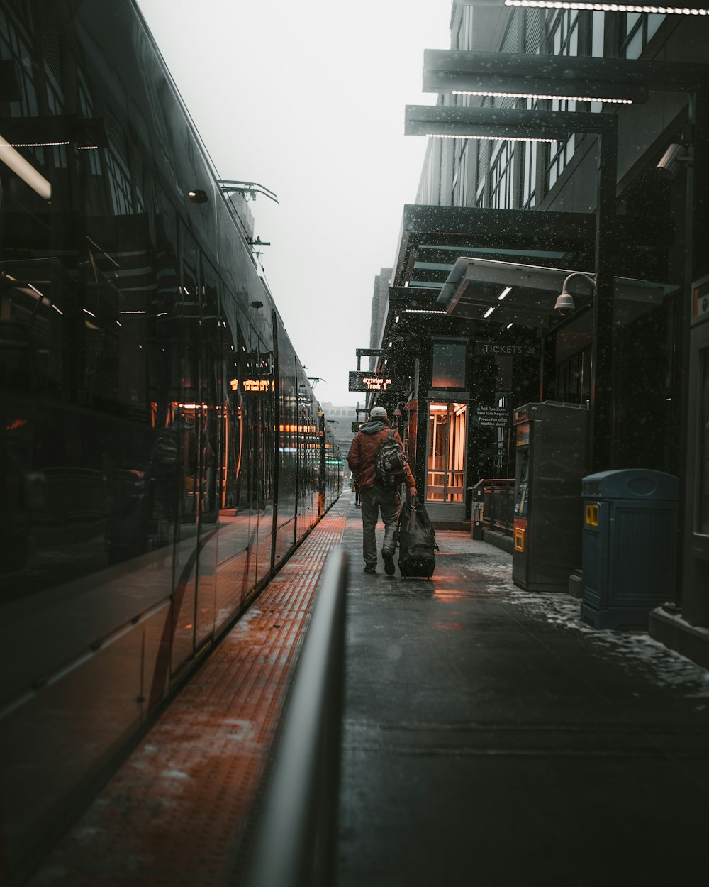 Persona che cammina con i bagagli accanto al treno durante il giorno