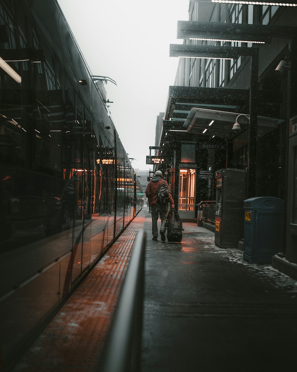 person walking with luggage beside train during daytime