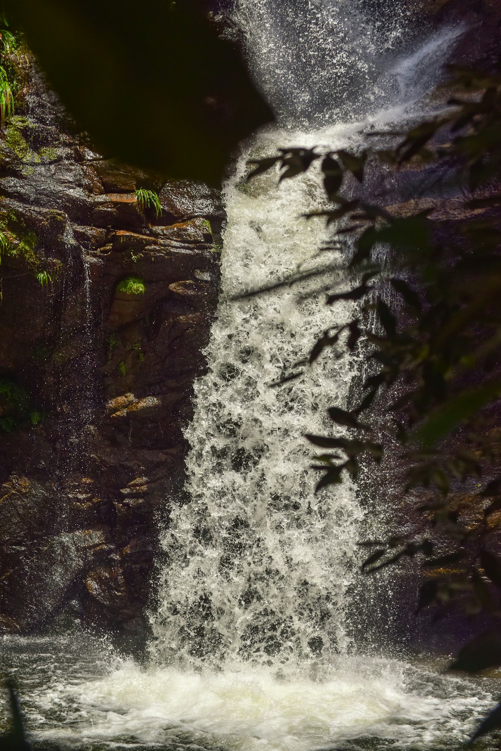 waterfall during daytime