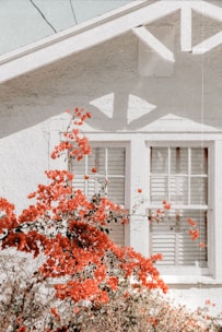 A modern home with large PVC windows and aluminum shutters, showcasing a bright and inviting interior.
