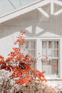 A traditional Creole cottage with colorful shutters.