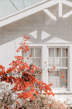A modern home with large PVC windows and aluminum shutters, showcasing a bright and inviting interior.