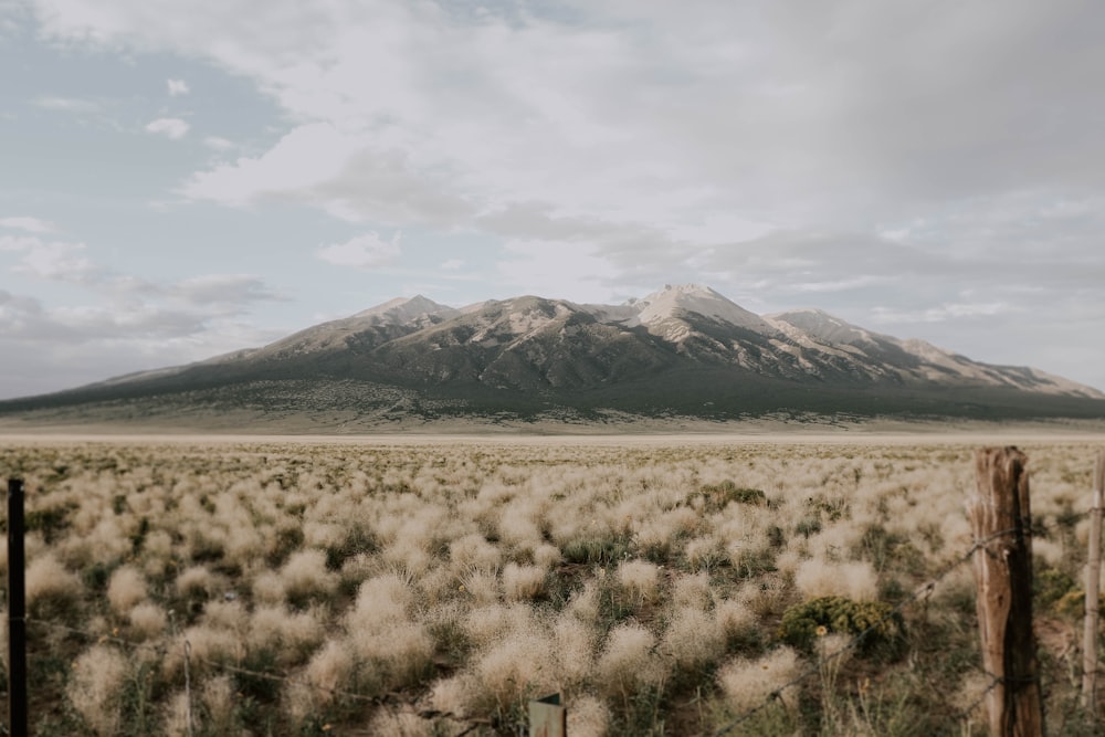 white and black mountain under white sky