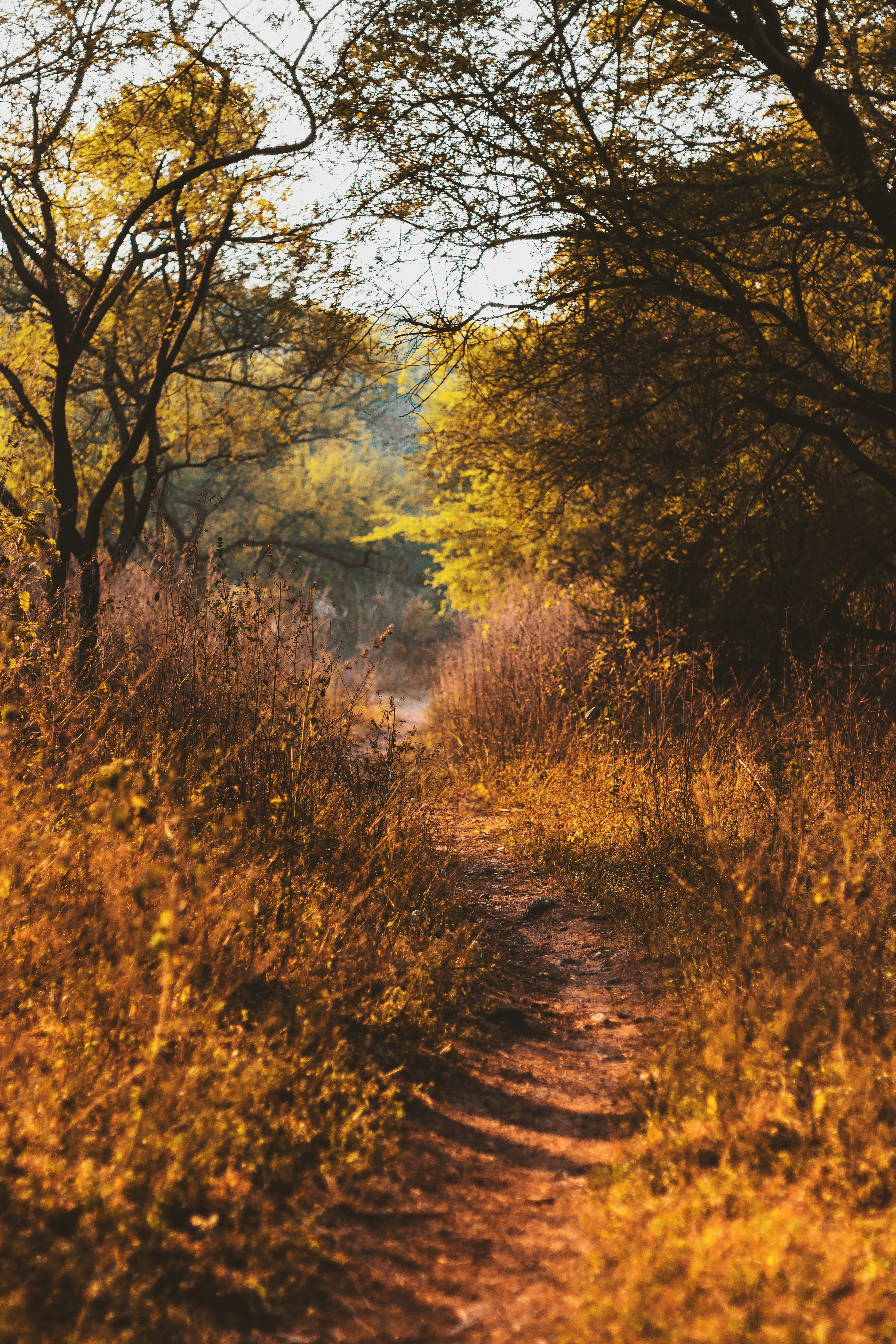 Photo by aniket940518