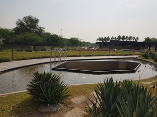 A serene raised wooden patio pond surrounded by lush greenery in a sunny Spanish backyard.