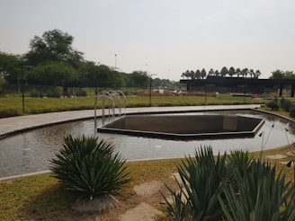 A well-maintained garden featuring a small, shallow pond with a geometric design. Surrounding the pond is a tiled pathway and lush green shrubbery. Several palm trees can be seen in the background, along with a black modern structure. The setting appears calm and serene.