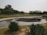 A well-maintained garden featuring a small, shallow pond with a geometric design. Surrounding the pond is a tiled pathway and lush green shrubbery. Several palm trees can be seen in the background, along with a black modern structure. The setting appears calm and serene.