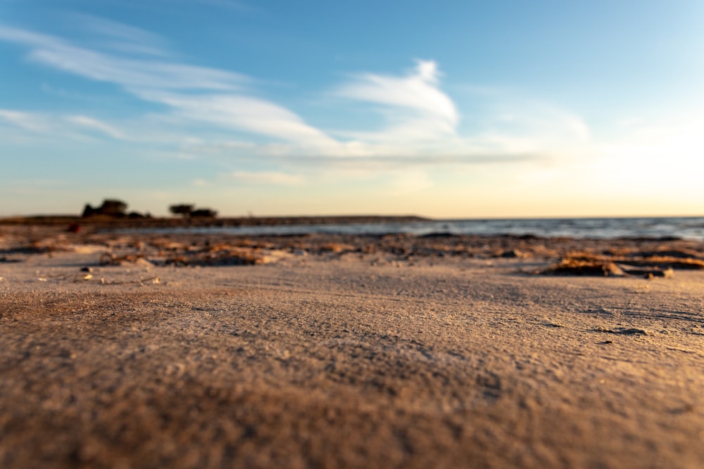 selective focus photography of brown sand