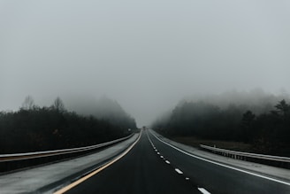 trees near road