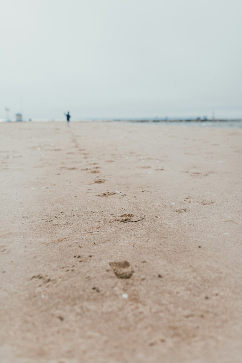 seashore sand