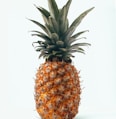 ripe pineapple fruit