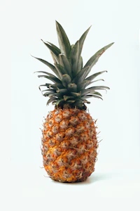 Fruit Ninja Classic+ icon