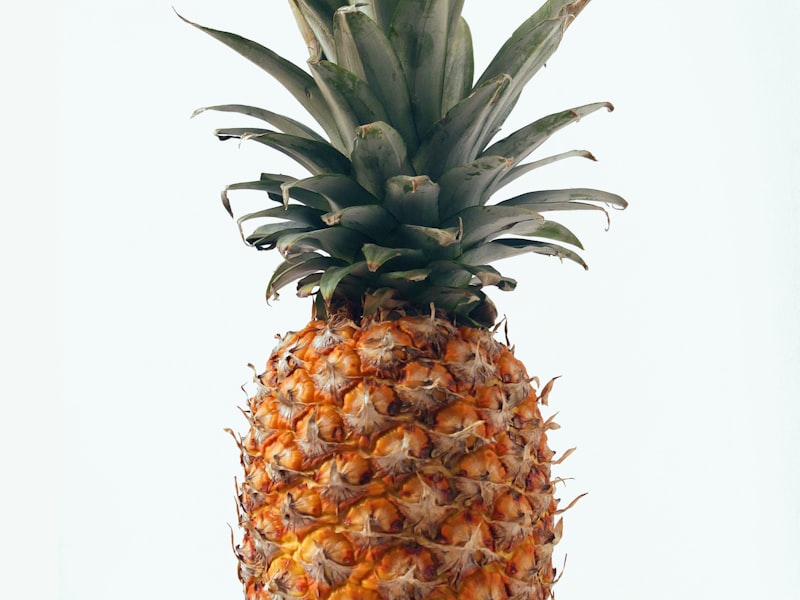 Pineapple