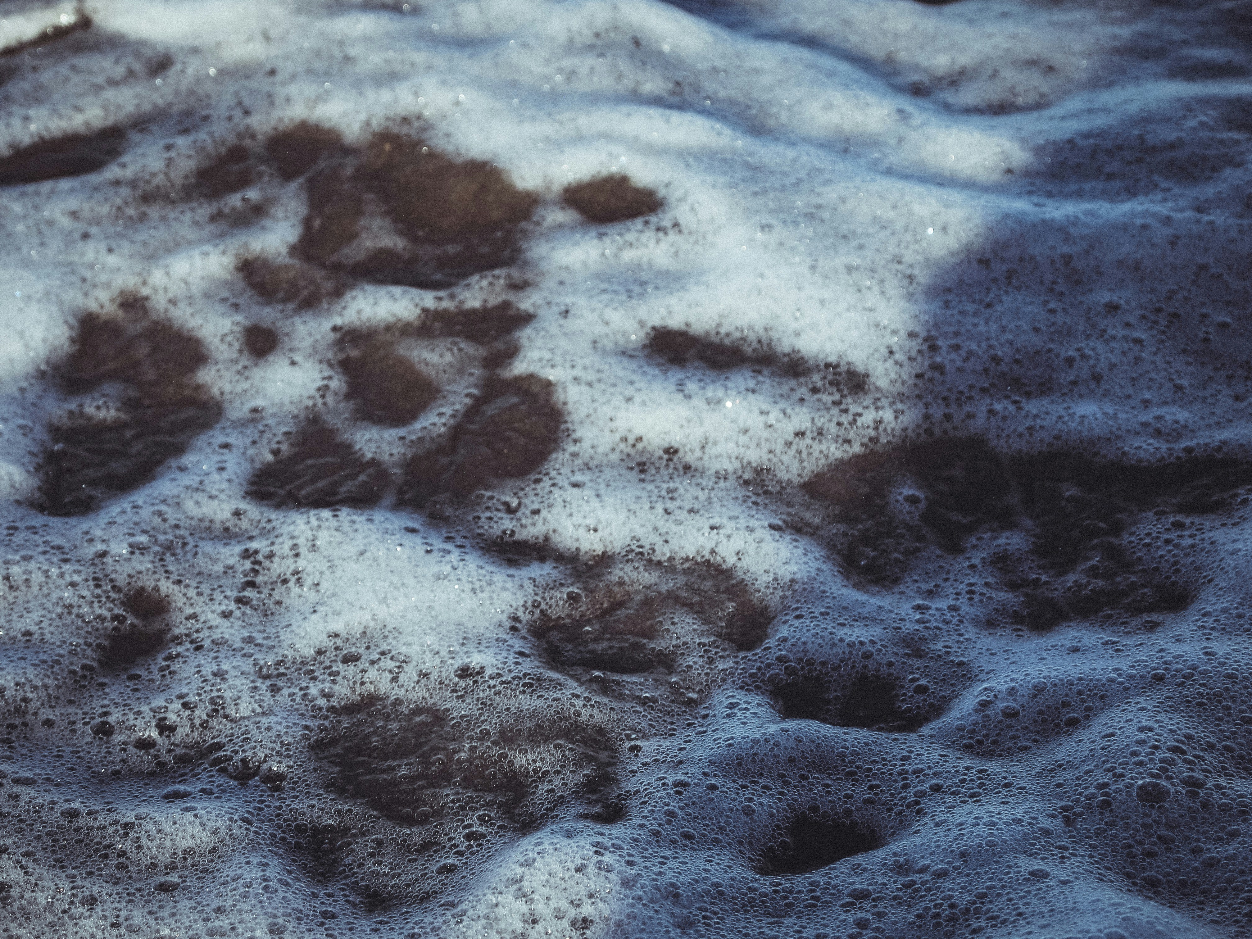 Eine Hundepfote drückt im Schnee ab