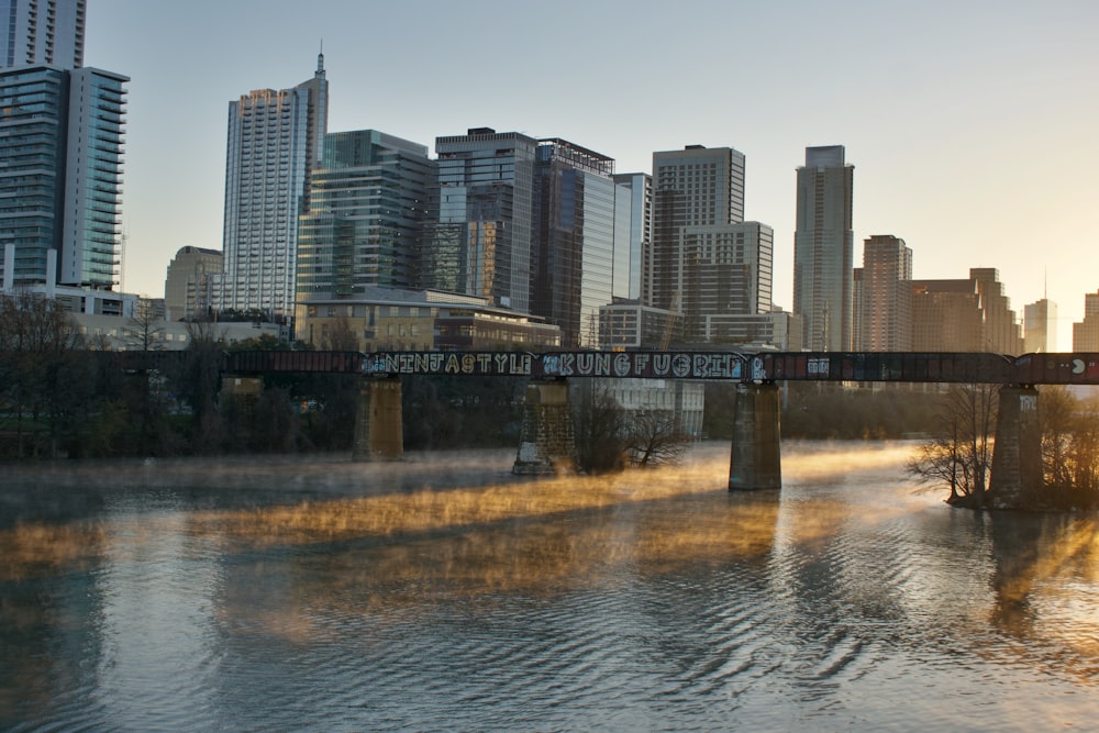 city skyline during daytime