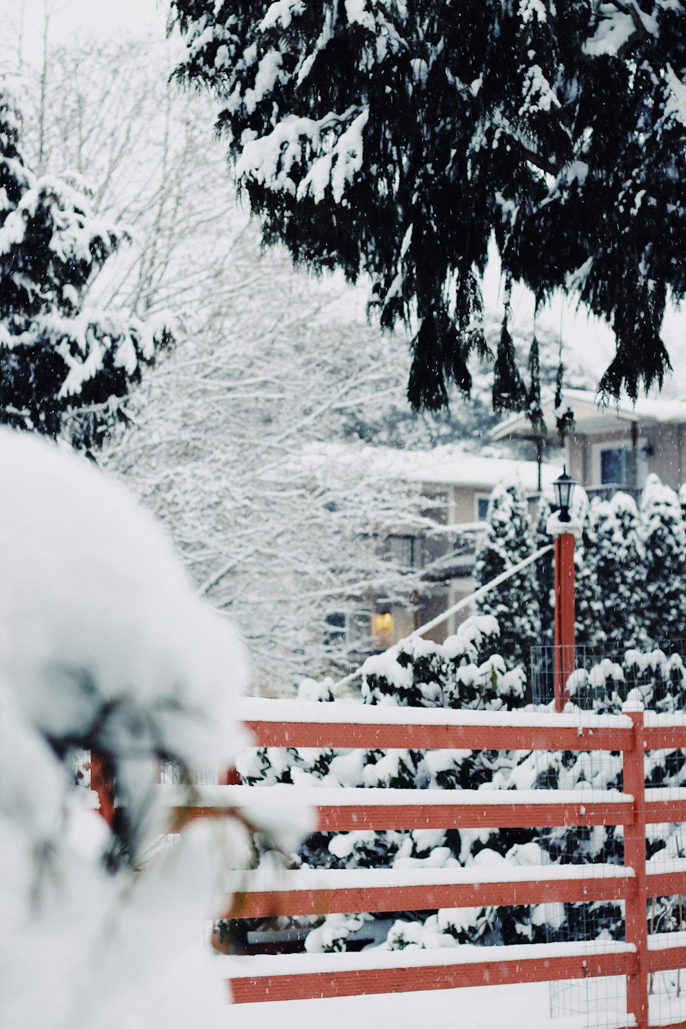 snow covered red metal railings