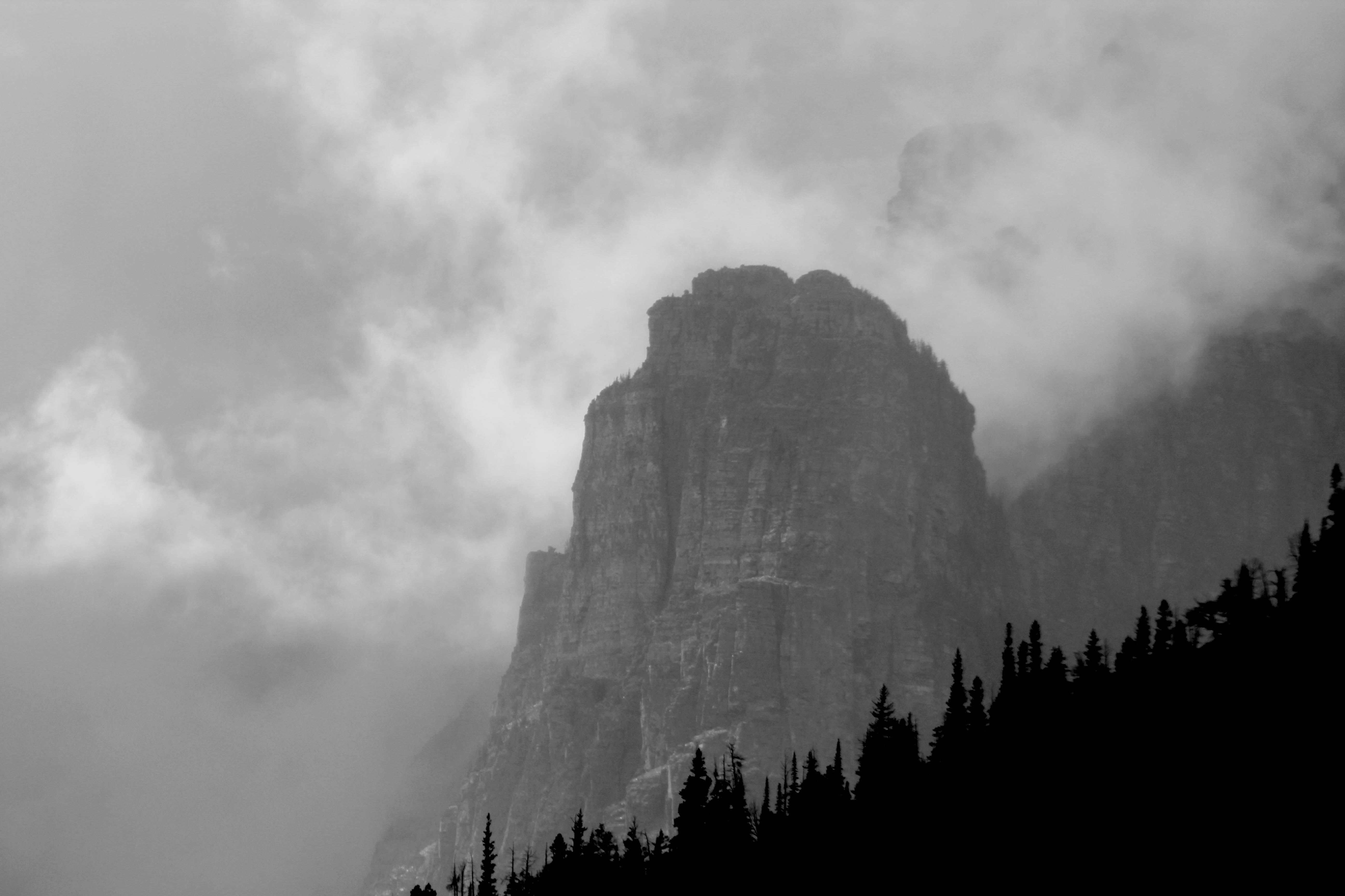 Photo by tylerdonaghy