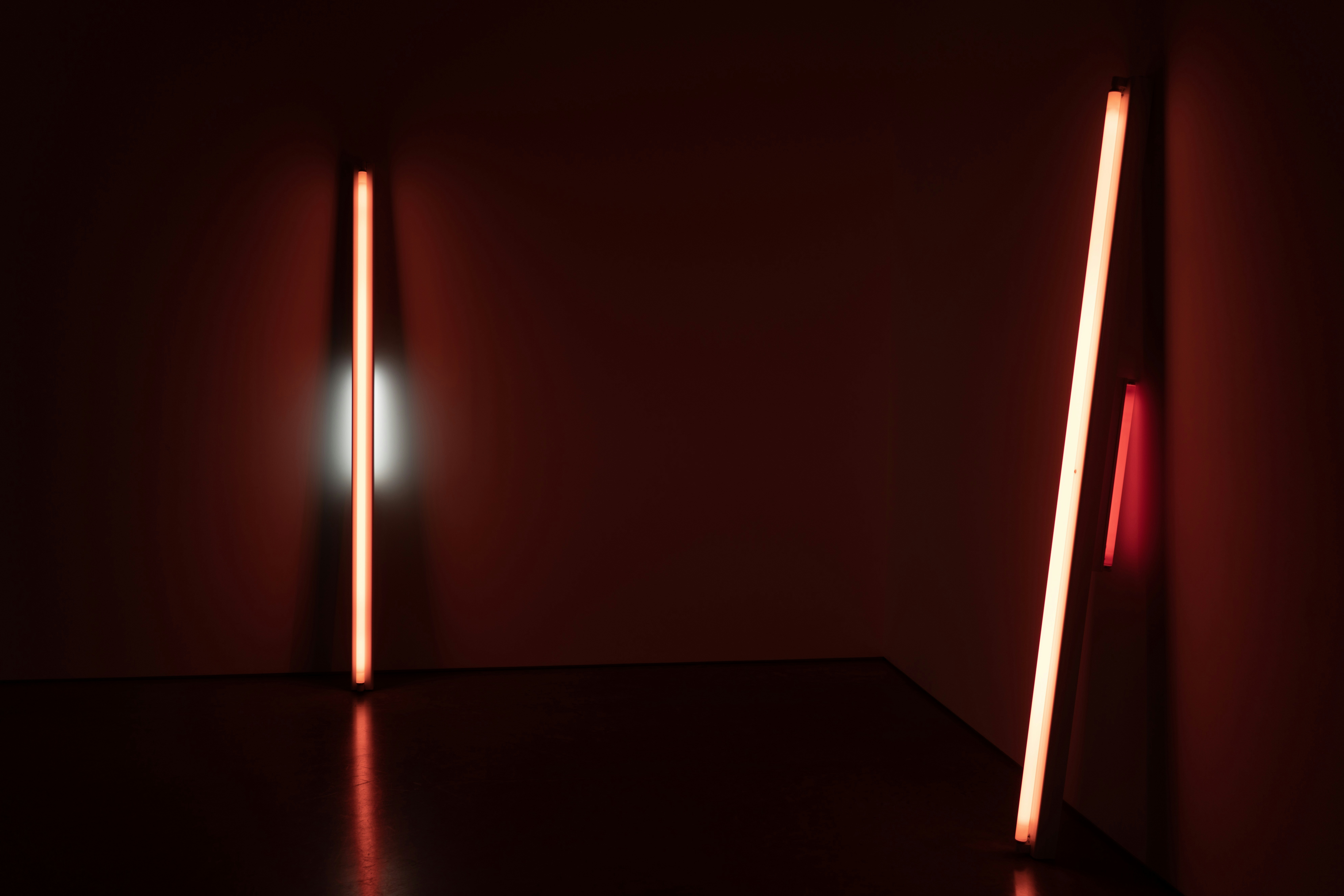 Photo by tylerdonaghy