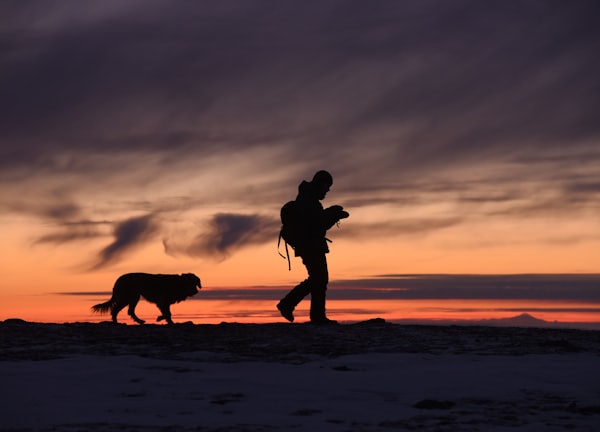 silhouette of man and dog