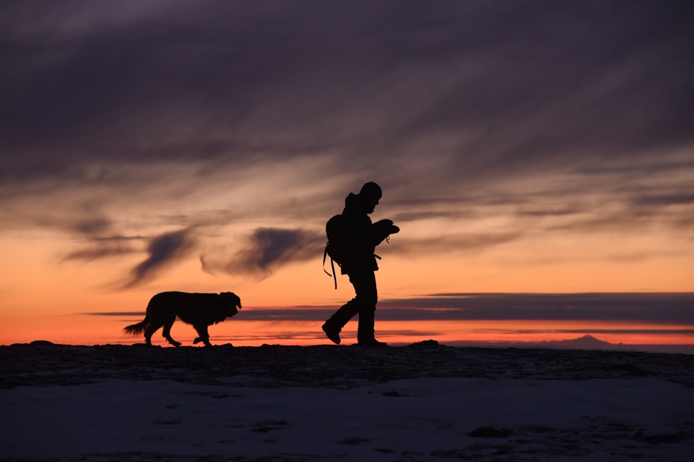 silhouette of man and dog