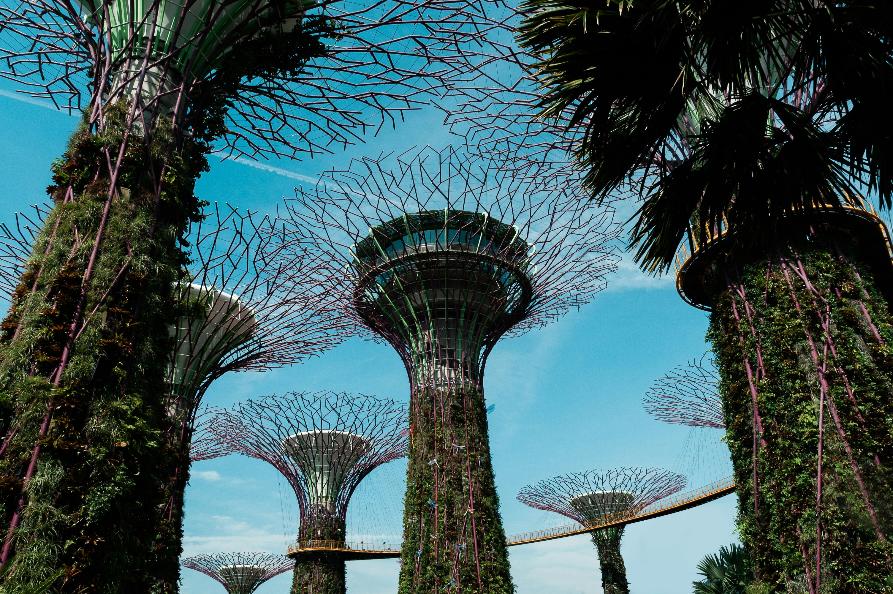 Imagem relacionada ao SEO local