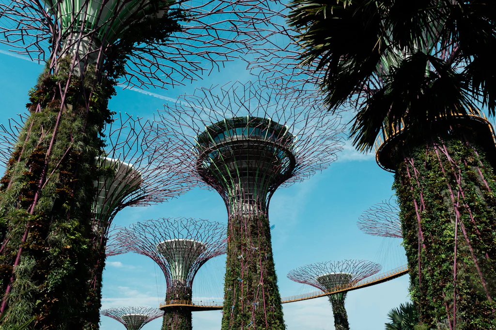 Supertree Grove at Gardens by the Bay rising above tropical planting in daylight