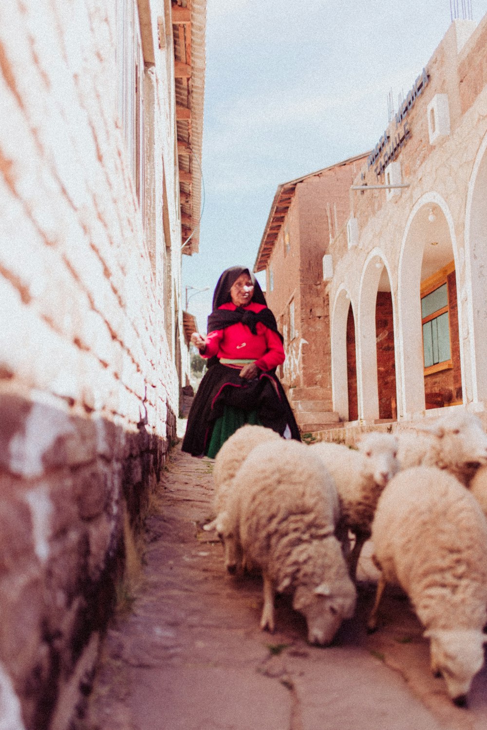girl wearing red dress talking behind sheep during daytime
