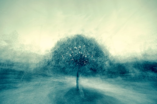 painting of tree