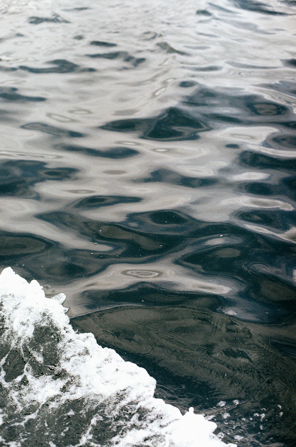 ripples in the water during daytime